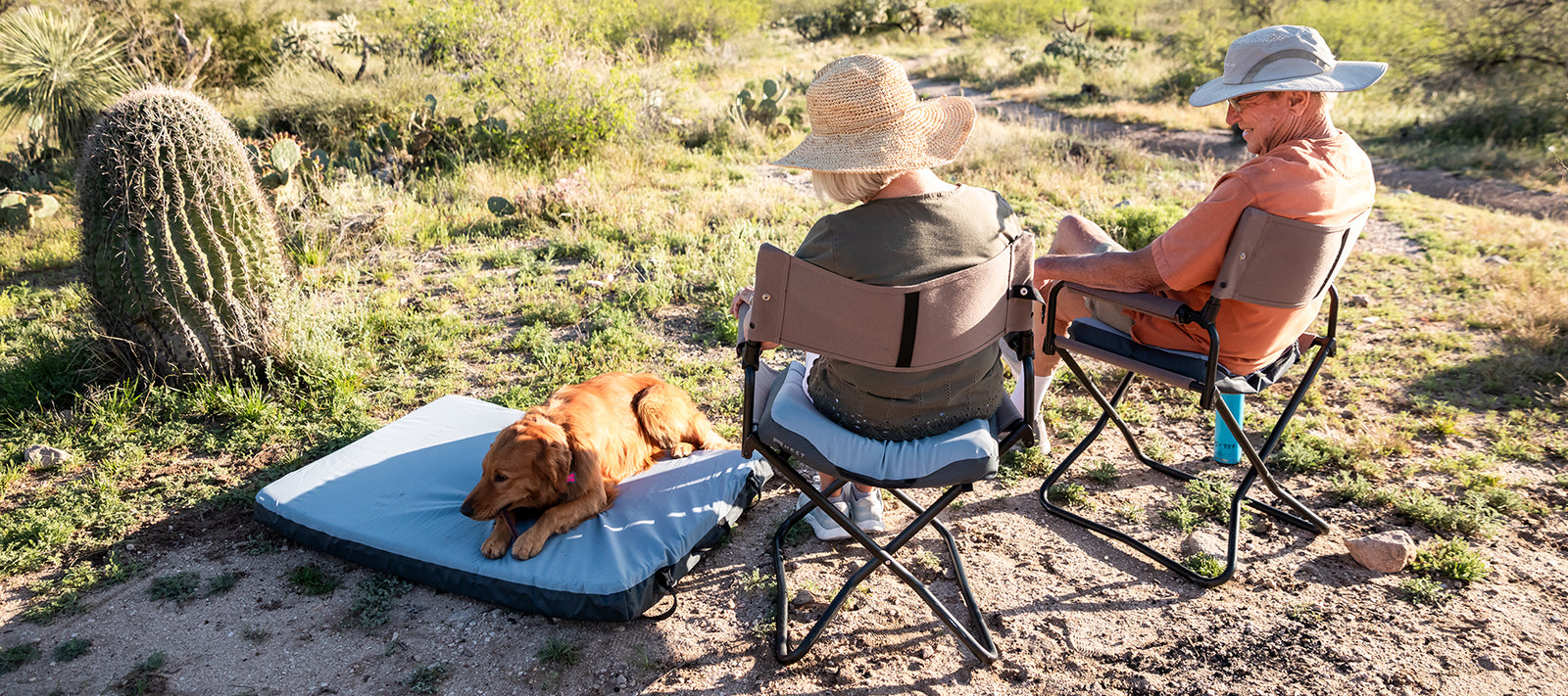 Foamy Seat Cushion 101