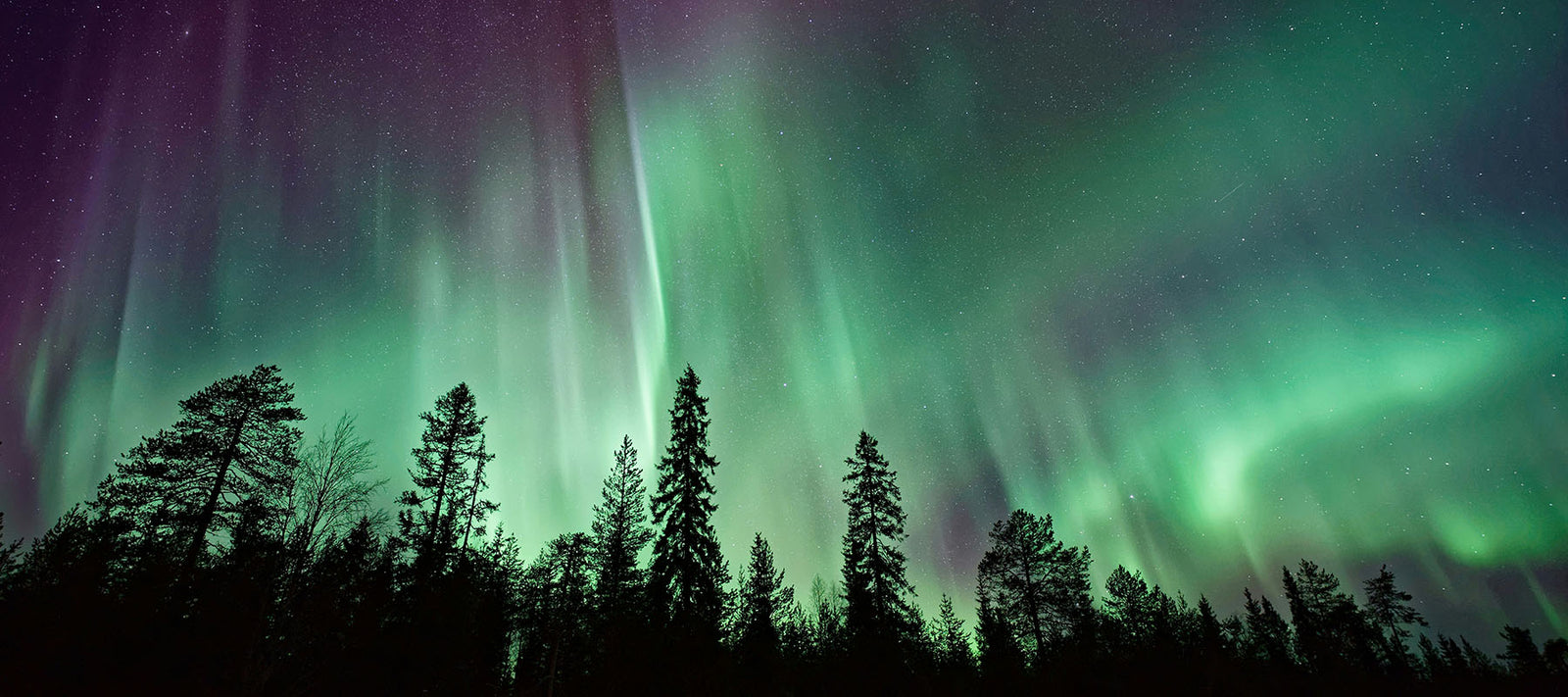 6 Celestial Events You Can't Miss in 2025