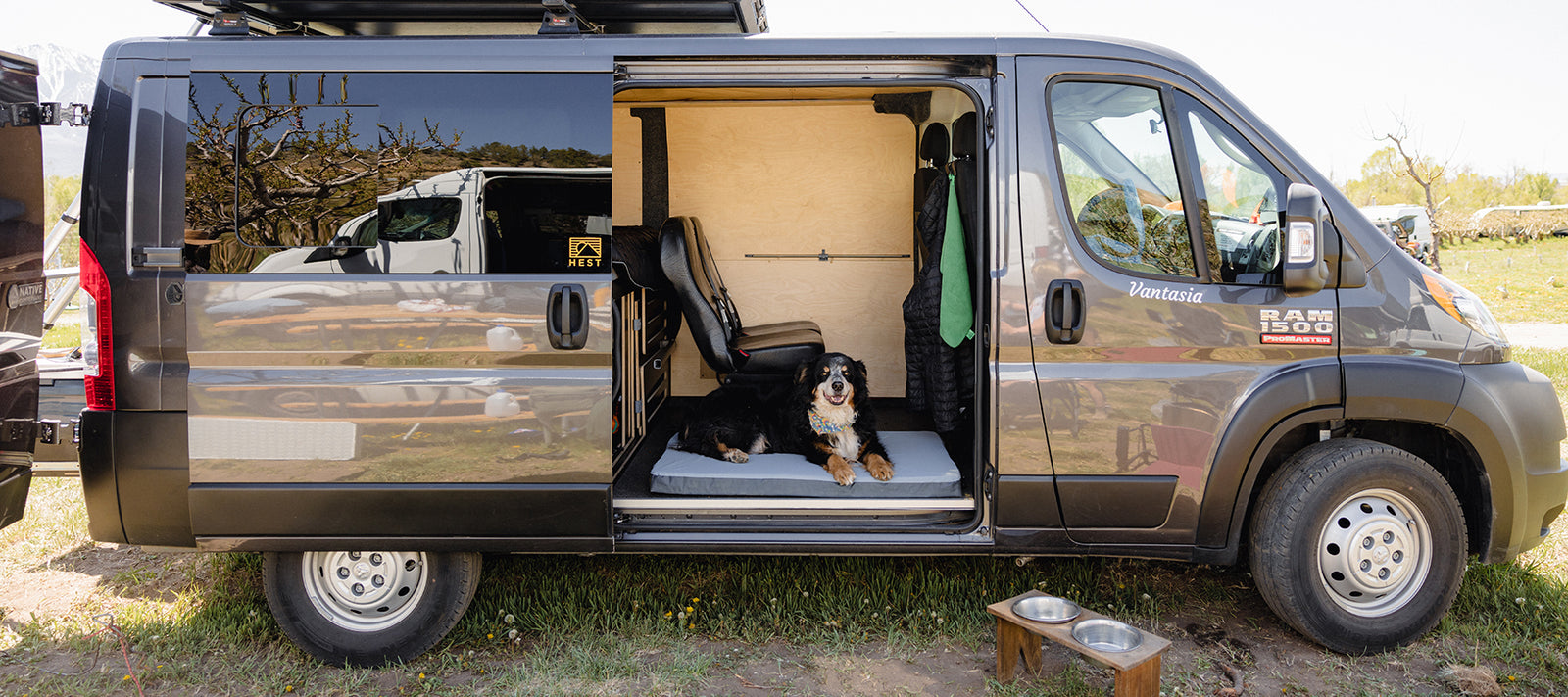 10 Tips for Camping with Dogs