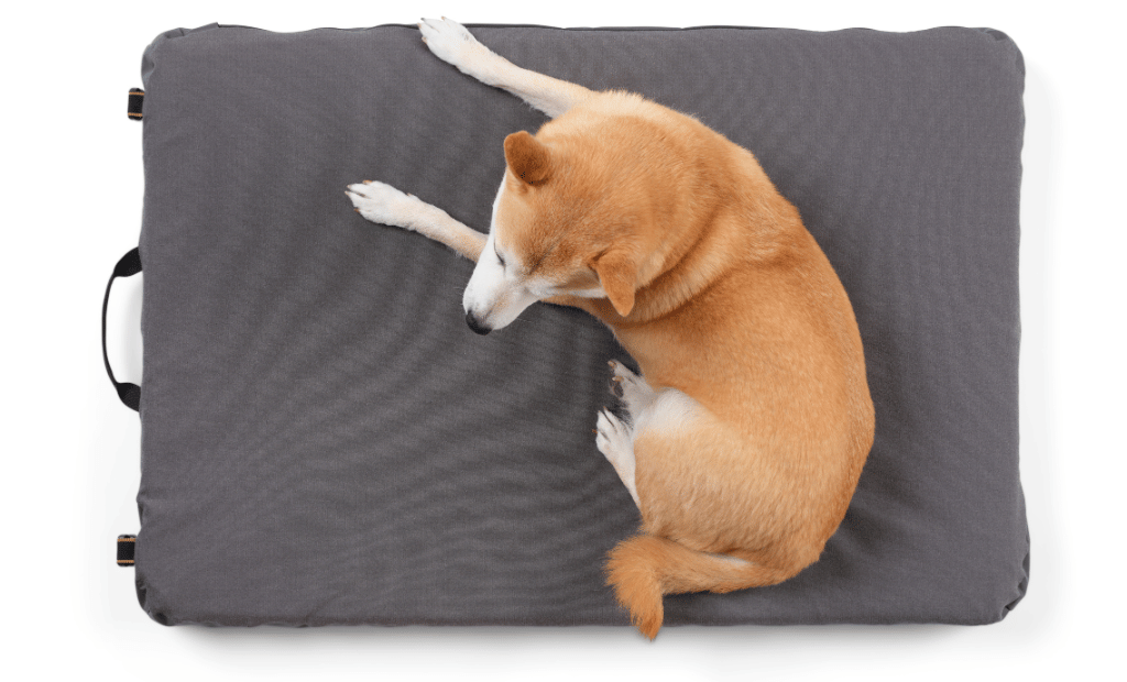 HEST Dog Bed For Rivian